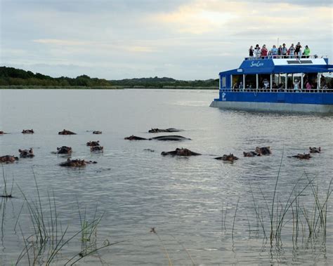 Das iSimangaliso-Feuchtgebiet: Ein unvergessliches Abenteuer für Naturliebhaber!